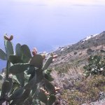 Liparische_Inseln_007
