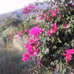 Liparische_Inseln_013