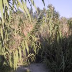 Liparische_Inseln_020