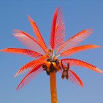 Portopalo_002