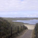 011_texel_2003