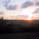 024_texel_2003