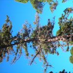 el_hierro_001