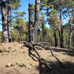 el_hierro_012