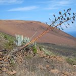 el_hierro_020