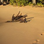 Unawatuna_003