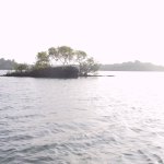 Unawatuna_013