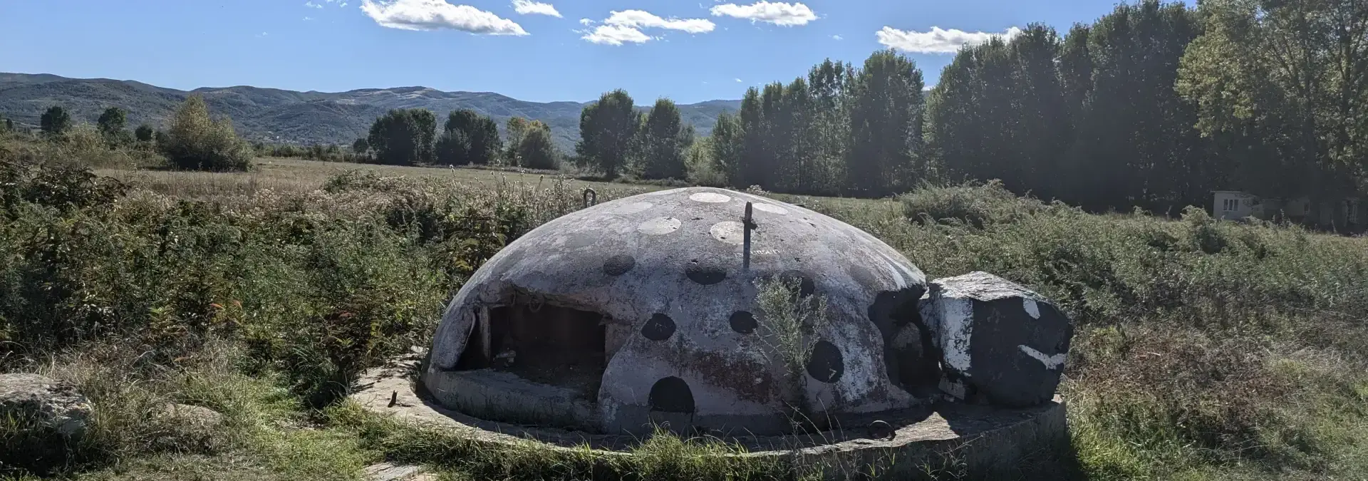 Ein als Schildkröte bemalter Bunker in Albanien