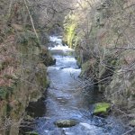 harz_007