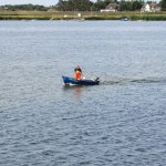 010_hiddensee