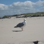 norderney_012
