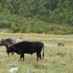 013_georgien_swanetien_2017