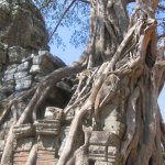 Angkor009