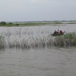 TonleSap011