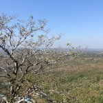 11_Myanmar-MountPopa