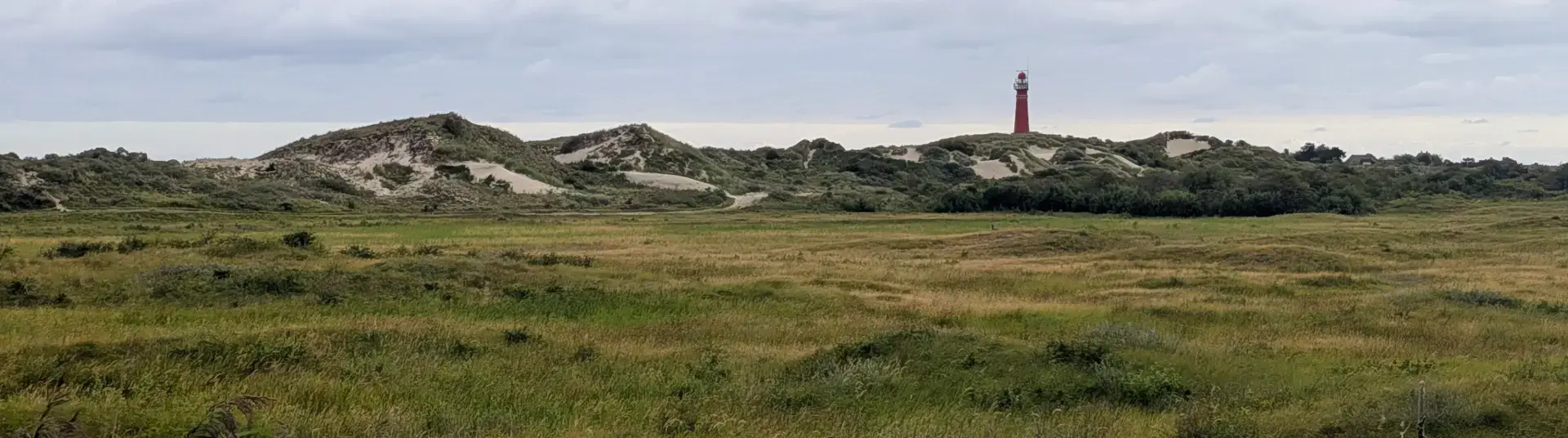 Blick über die Dünenlandschaft auf den roten Leuchtturm von chiermonnikoog
