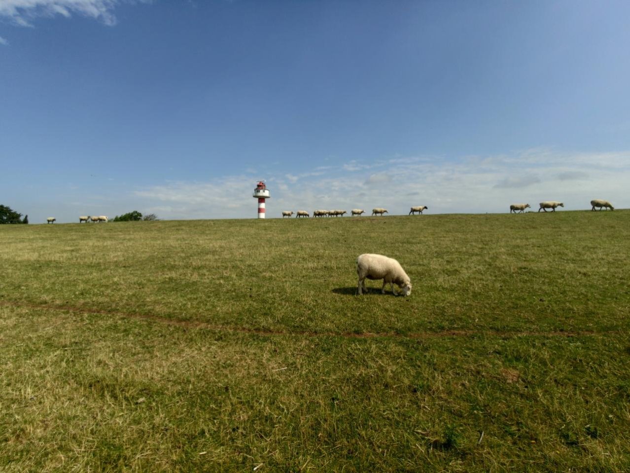 002_Elbe_Nordsee