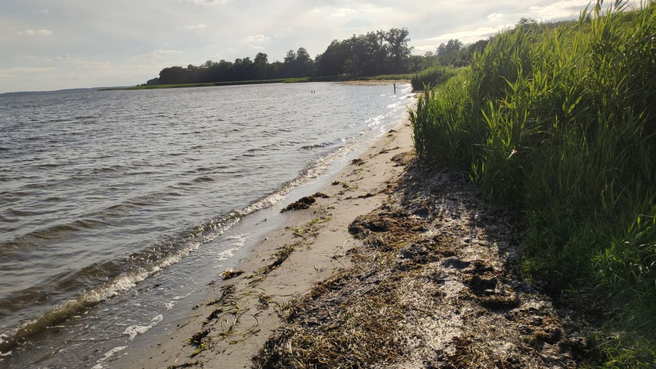 08-Karrebaeksminde-Petervaerf