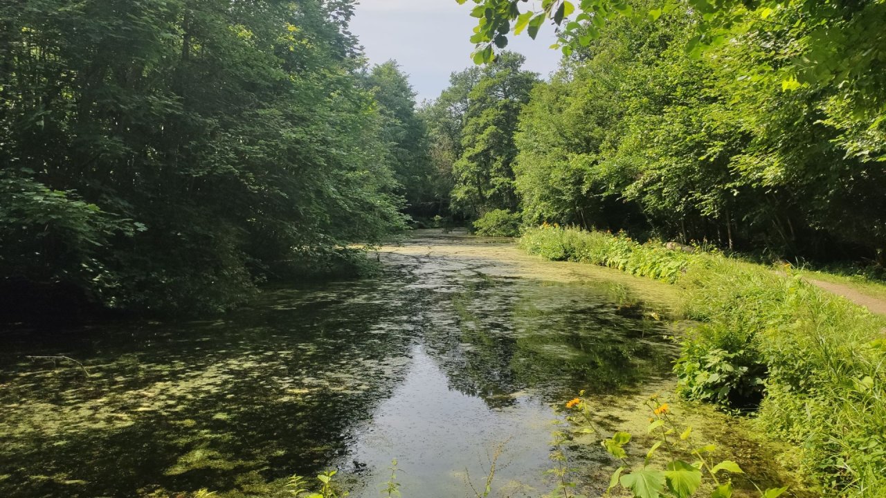 06-Petervaerf-Moen
