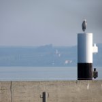 135_Hochrhein_Bodensee_2012