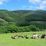 15_Sauerland-Sorpe-Henne