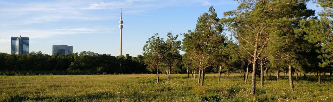 Rund um Dortmund: Blick von Phoenix-West auf den Florianturm