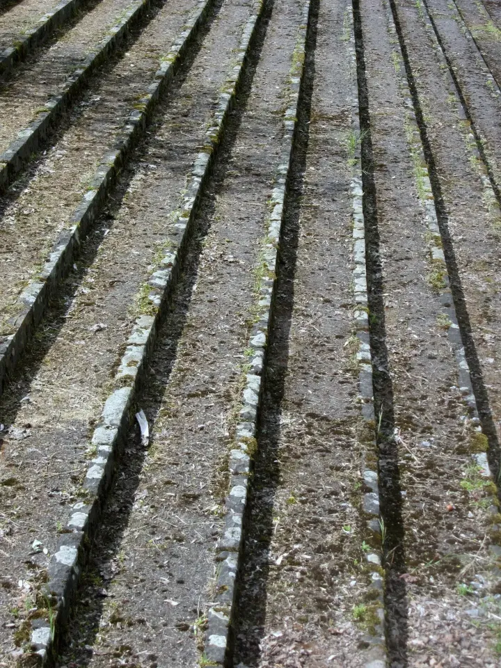 12-am-borsigplatz-geboren