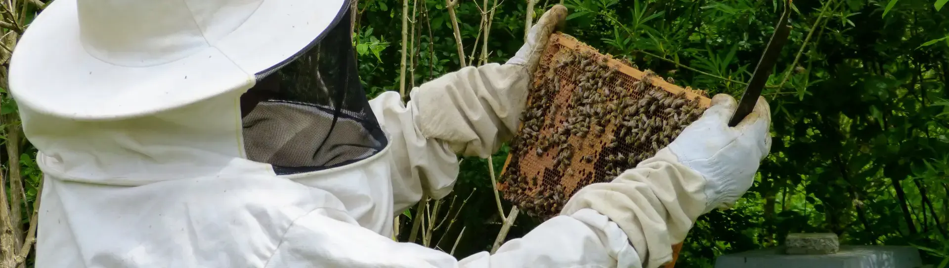 Kippkontrolle am Bienenstand