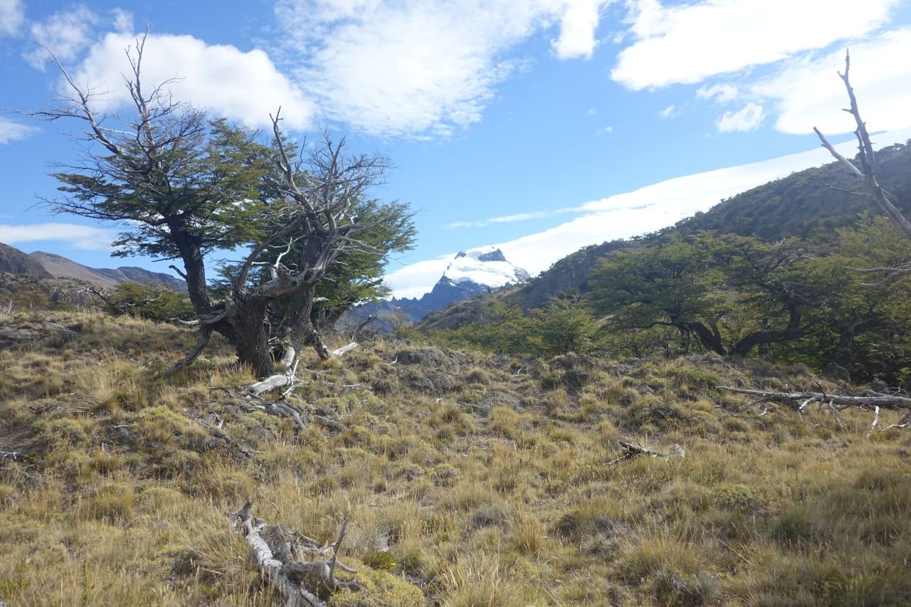 017_laguna_torees