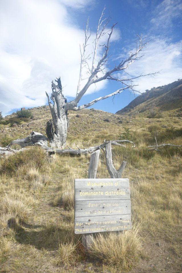 019_laguna_torees