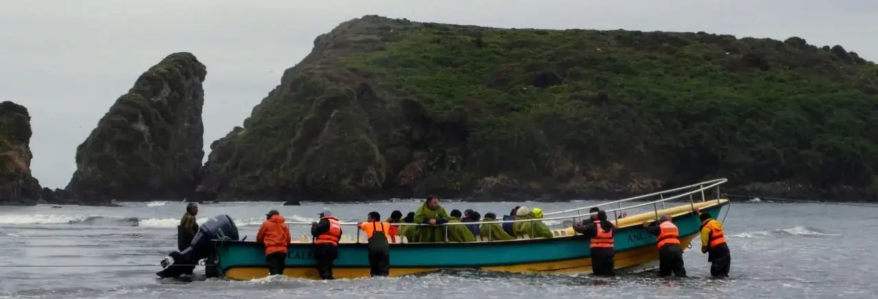 Zu Besuche bei den Pinguinen
