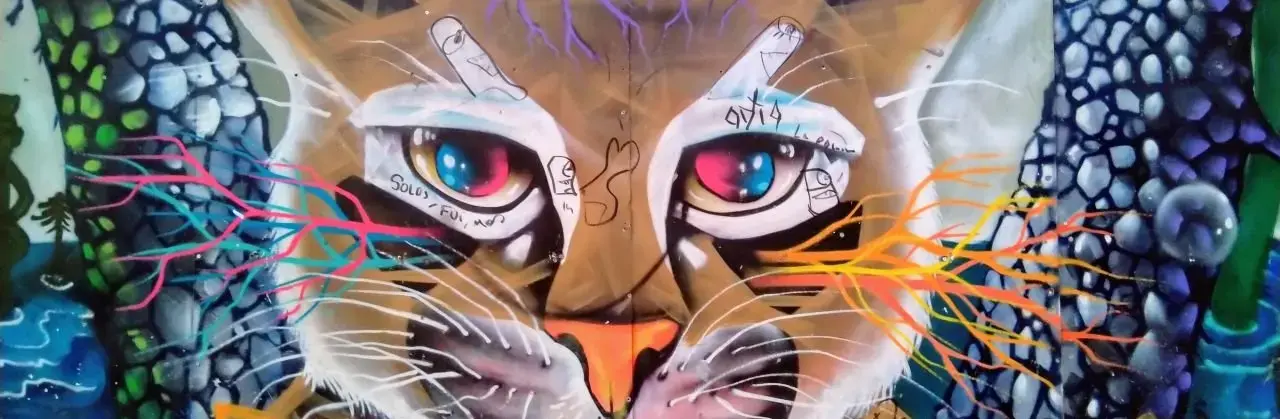 Murals in santiago de chile