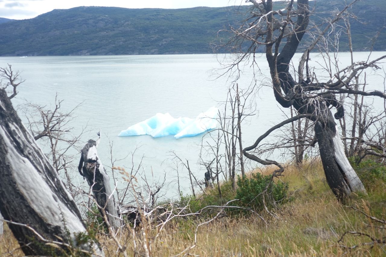 013_glacier_grey