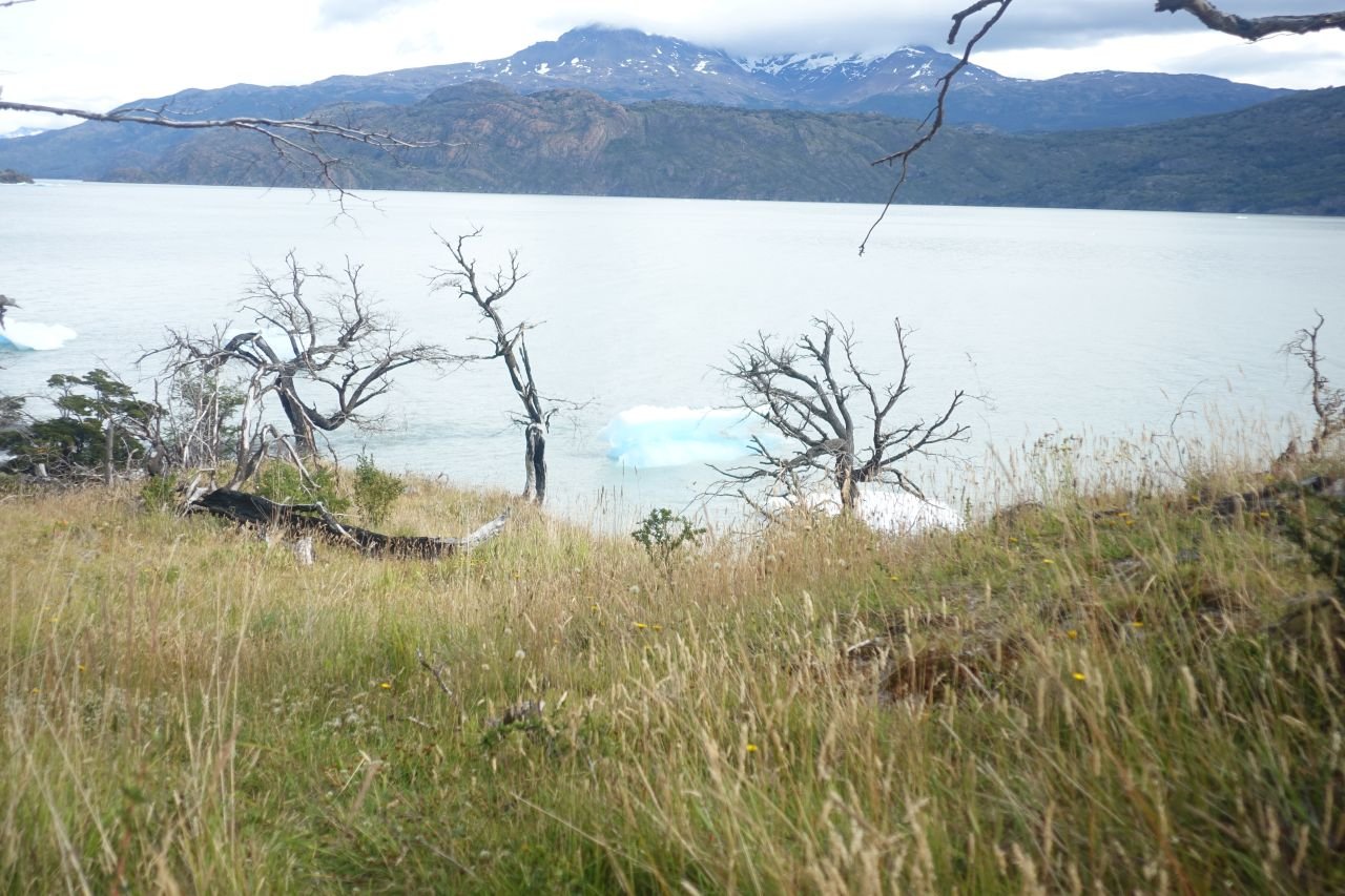 014_glacier_grey
