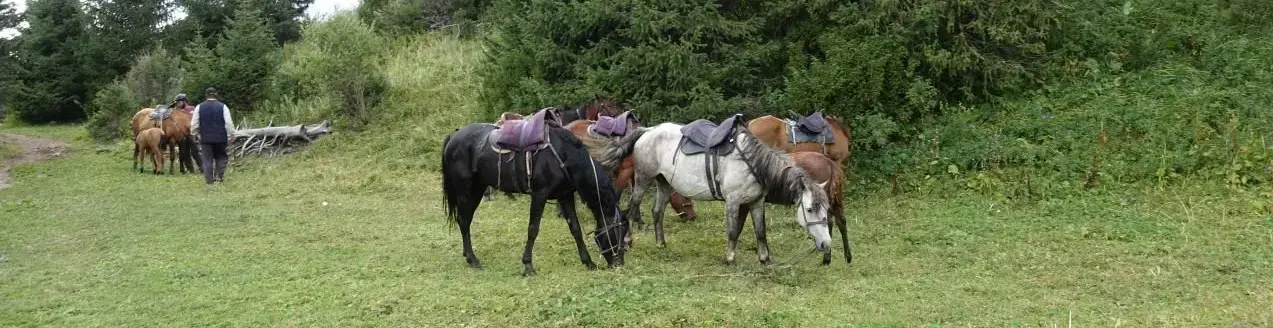 Horsetrekking in Jyrgalan