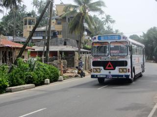 Busse In Sri Lanka