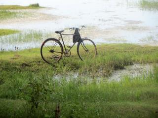 Fahrrad Eines Fischers Sri Lanka