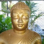 01_sri_lanka_2011_buddhismus