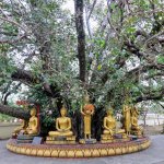 2014_12_Thailand_Laos-789