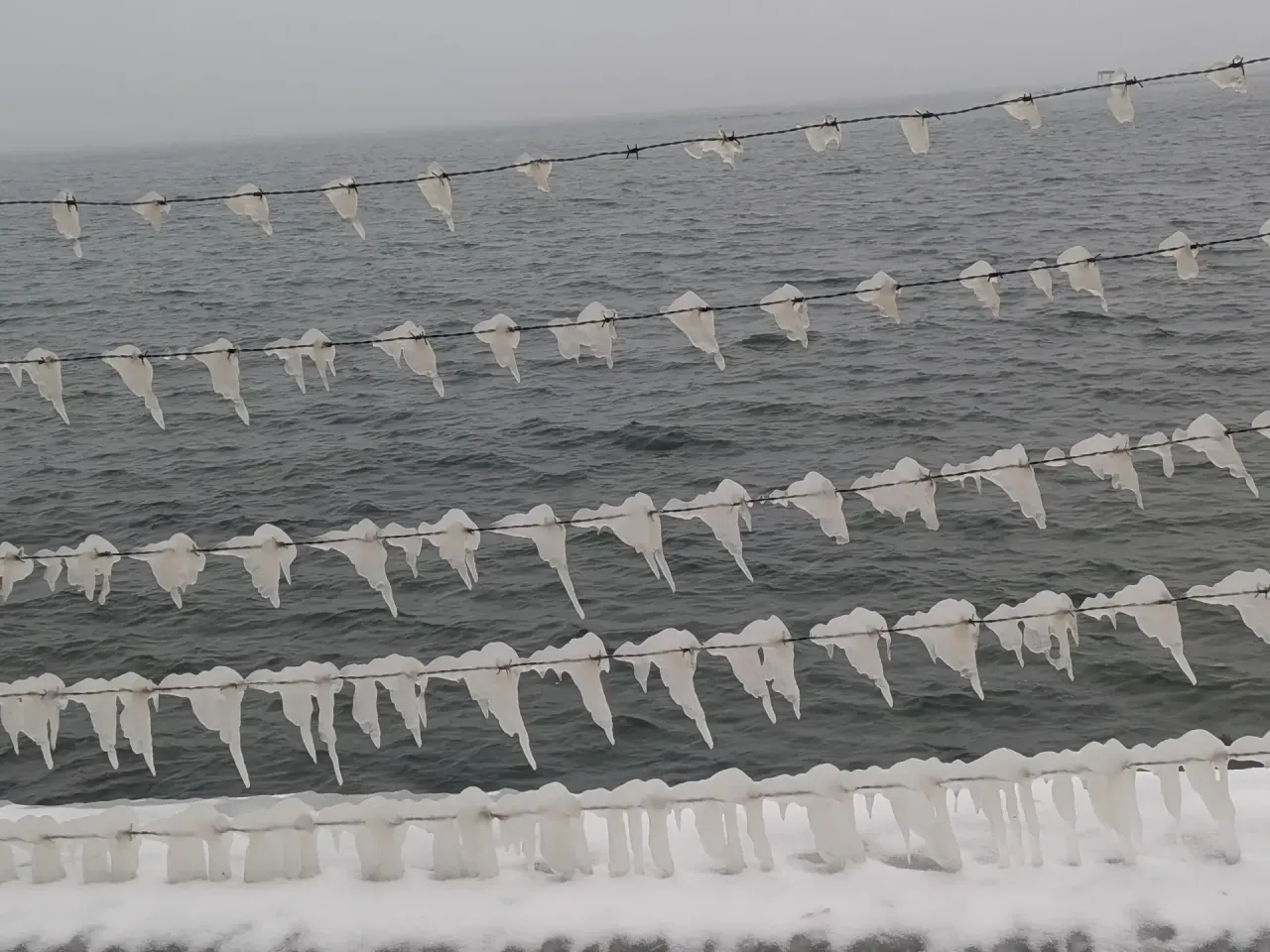 11-tallinn-im-schnee